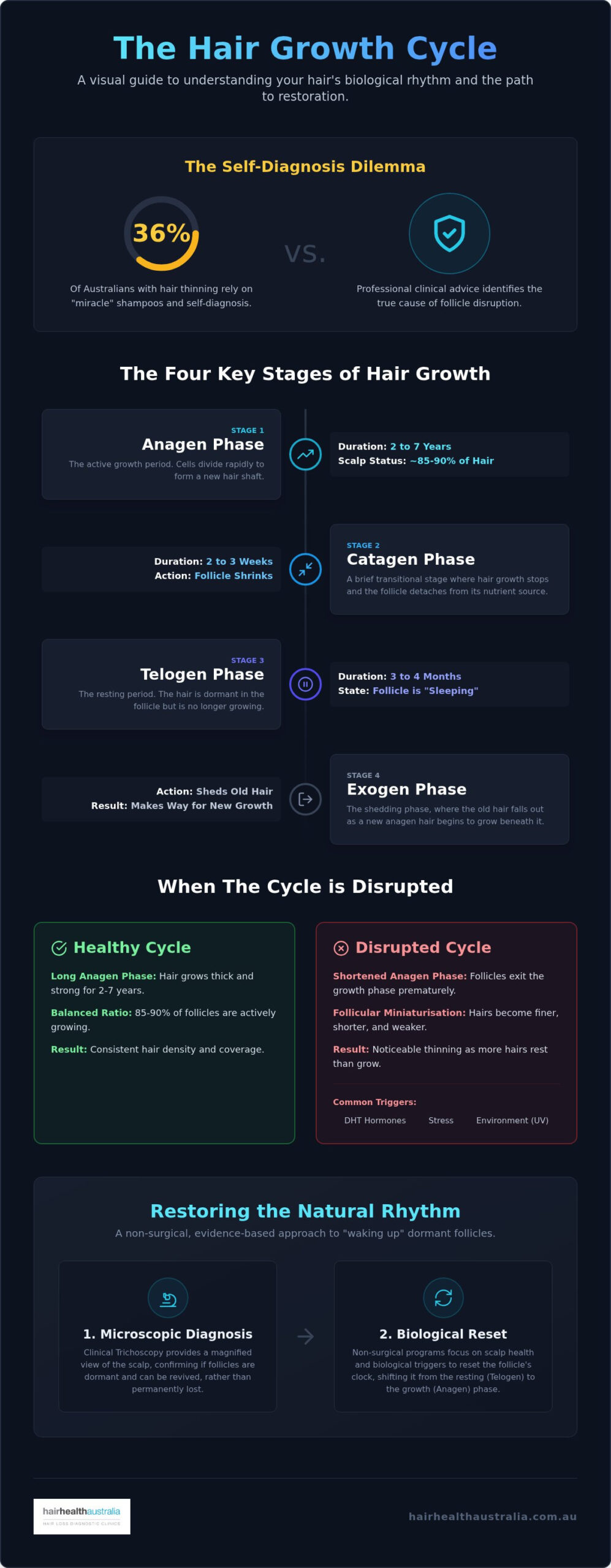 Hair Growth Cycle Stages: An Australian Clinical Guide to Regrowth